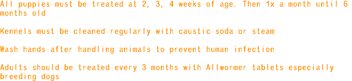roundworm_info2